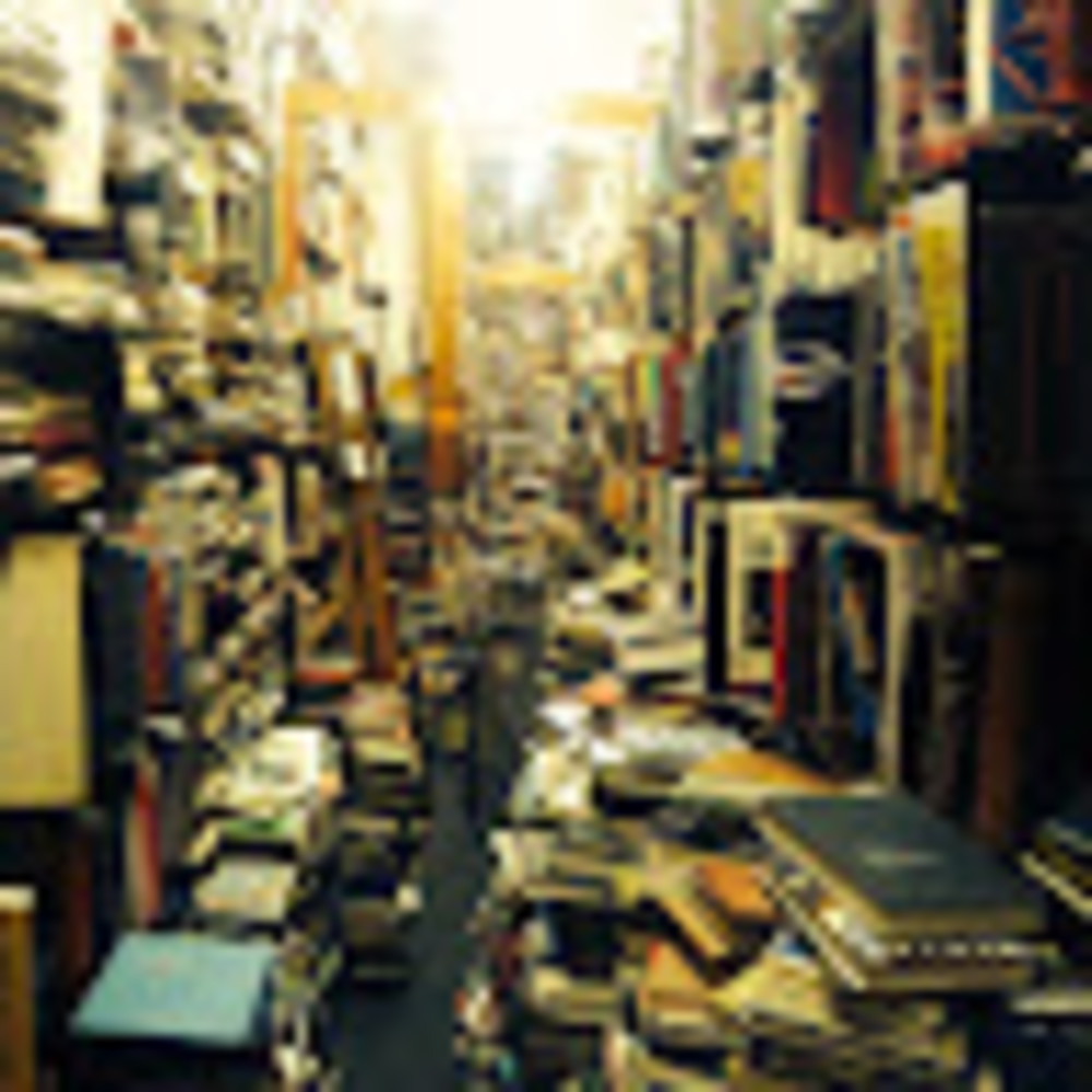 Meet your Posher, Joy